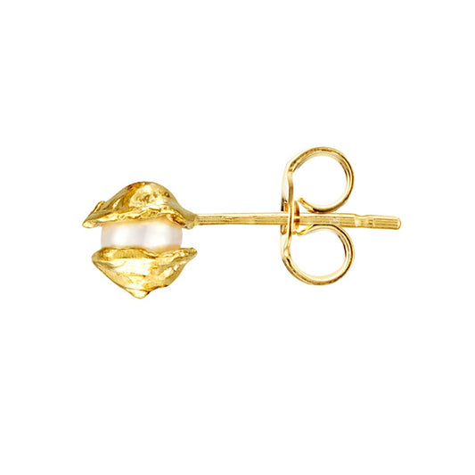 GOLD - SOLD OUT